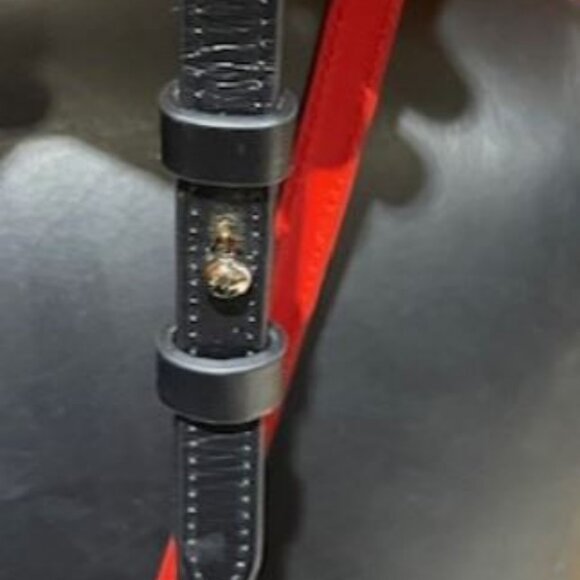 LOUBOUTIN Radioloubi Multicolor Crossbody Bag - Picture 4 of 7